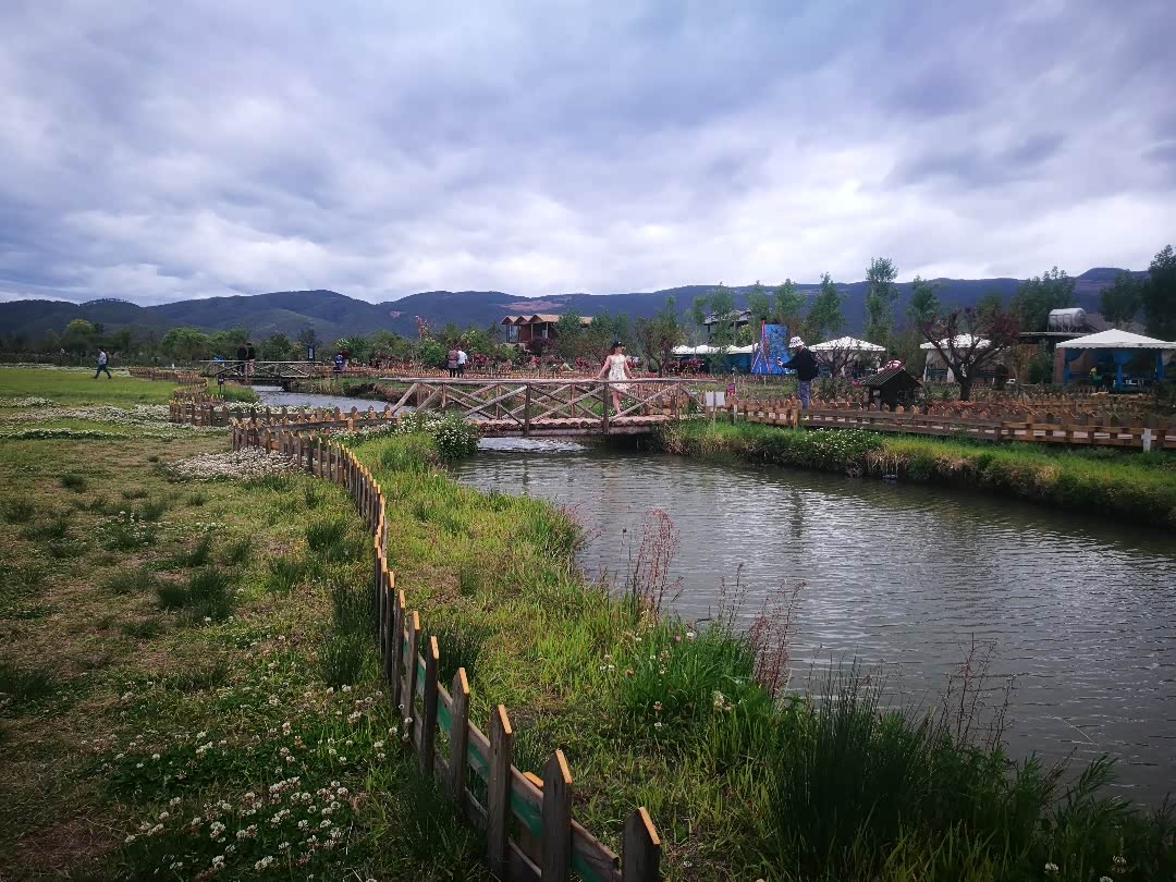 【图文】云南丽江拉市海候鸟湾