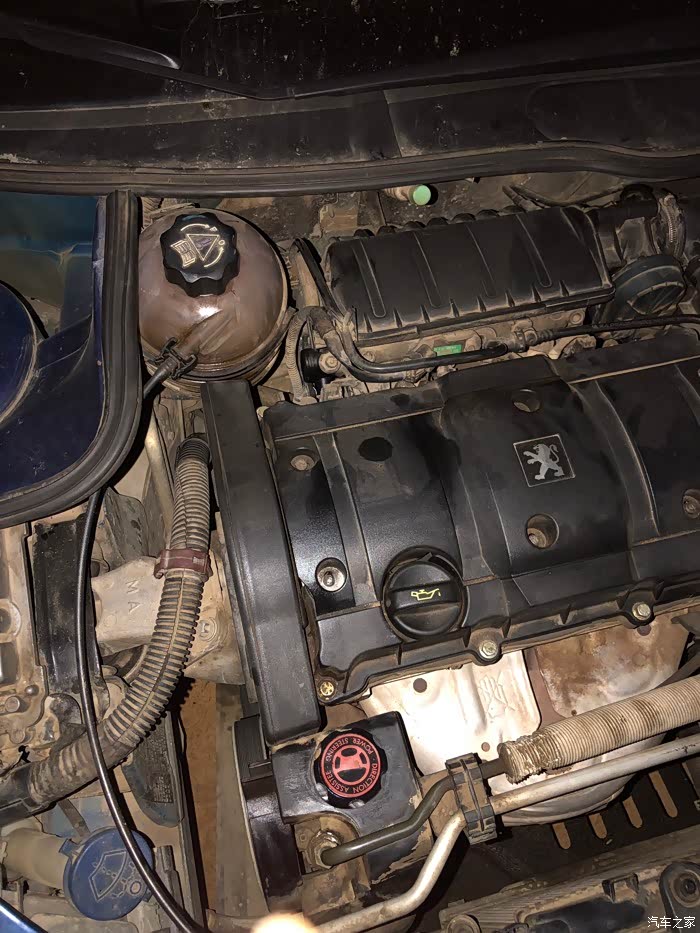 标志206漏油有木有大神知道