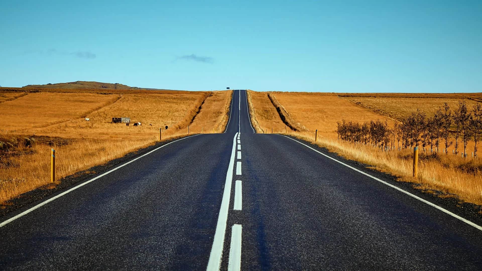 你所不知道的远方,都是值得一去的天堂.