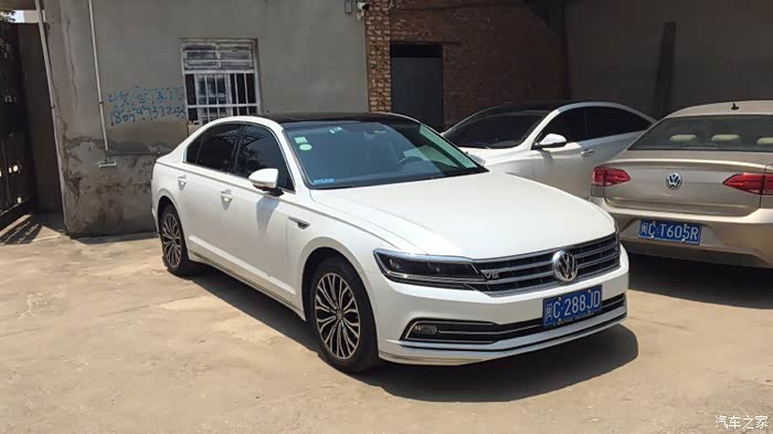 没有提到白色辉昂吗?