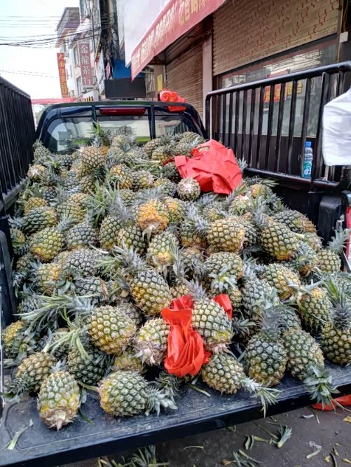 【图】小二,走!带你去信都浪_青少年论坛_汽车之家论坛