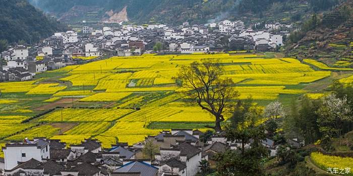 自駕遊之江西婺源旅遊攻略春天賞花必去