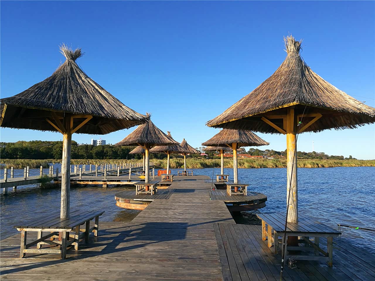 这几个独木亭别有趣味