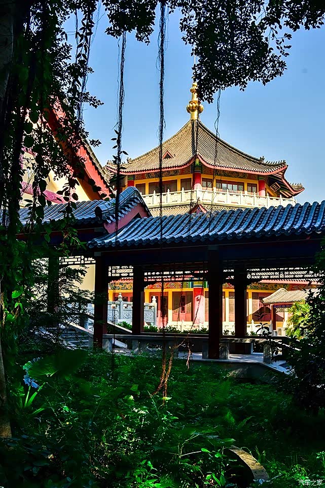 龙岗妙觉寺祈福