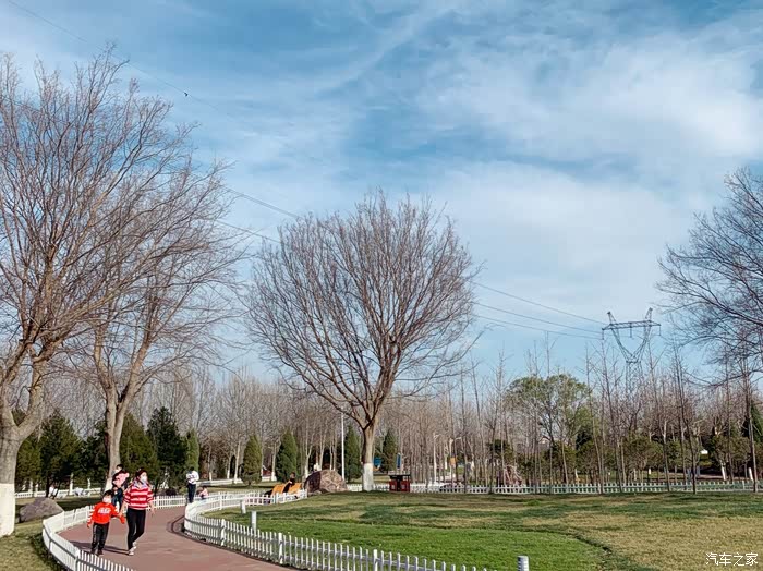 郑州郊区树木园,春色满园