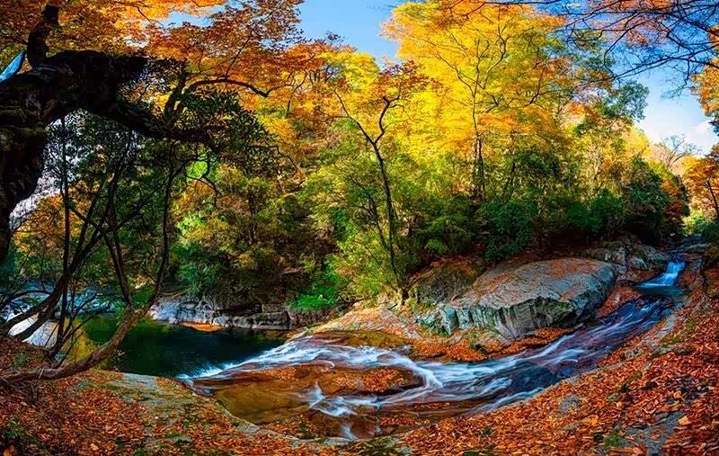 黎坪集山景林景水景石景为一体