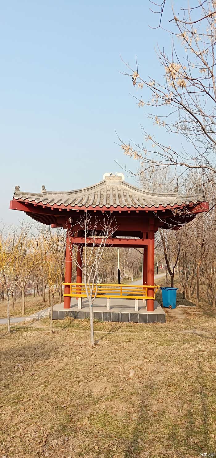 小灰灰伴我去汉王公园