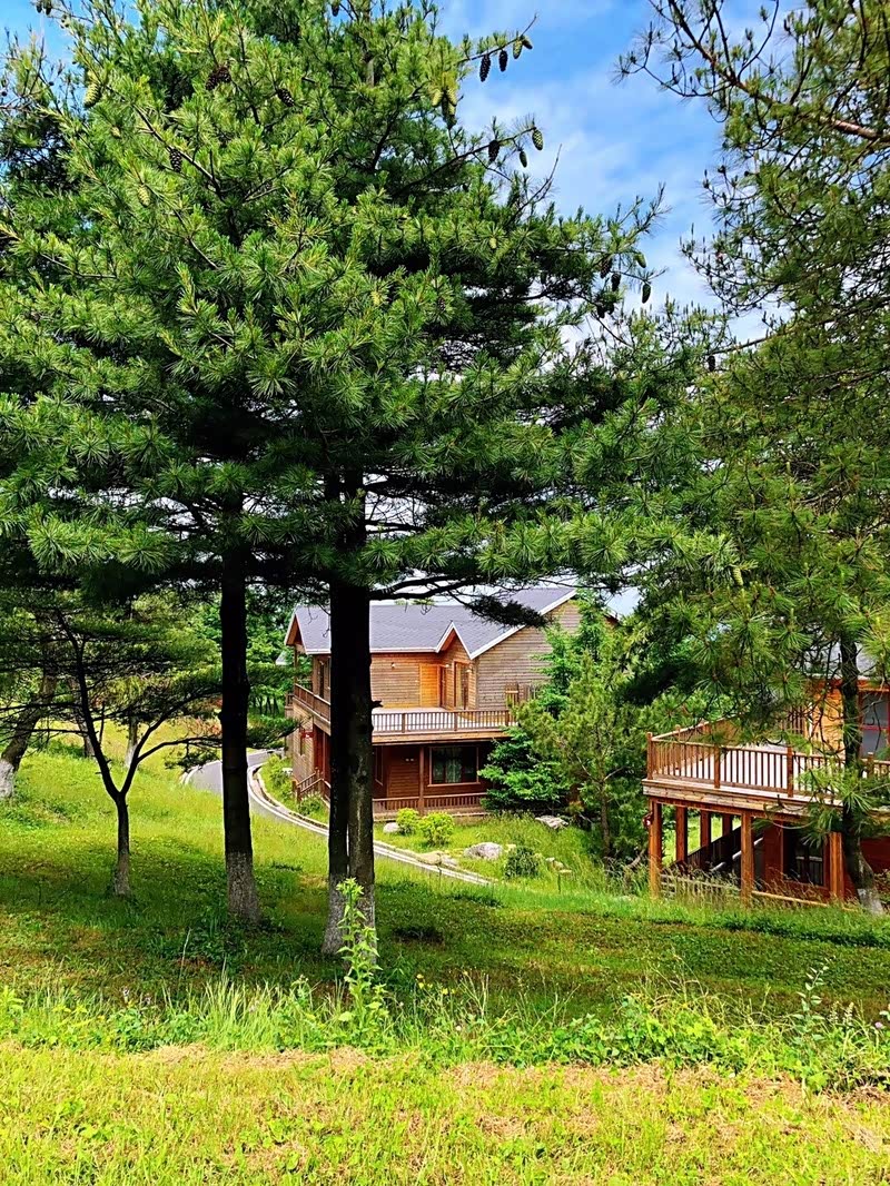 百里荒的童话世界