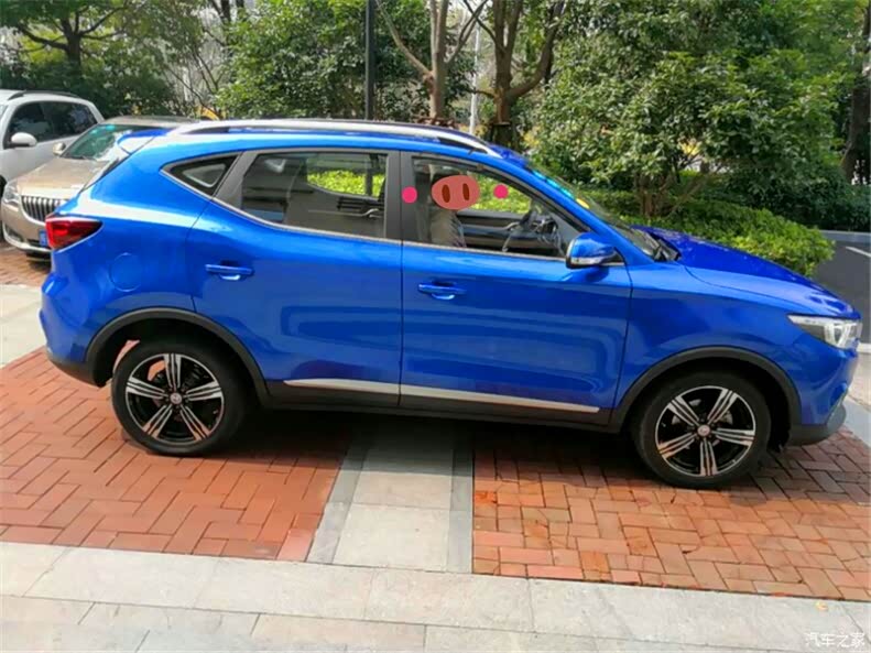 【季度大征集】春光无限好,尤看蓝爵俏.