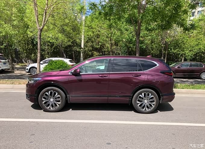 皓影罗曼紫,这条街最靓的仔