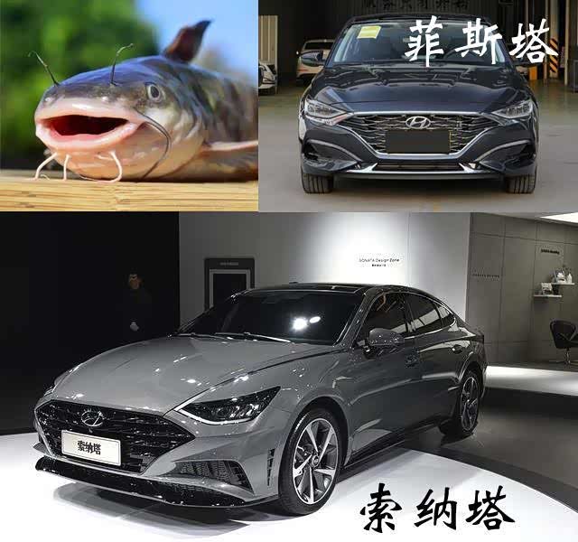 受了委屈的鲶鱼.前脸中期改款肯定会改,再等等