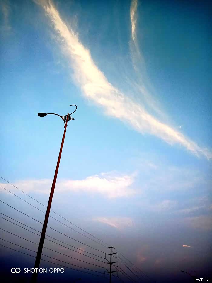 路边的野花睬不睬?