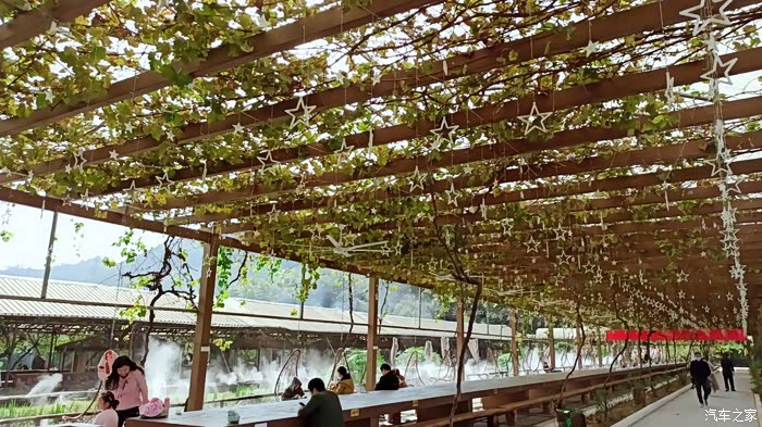 一日游土蛋哥农家乐体验自然乐趣