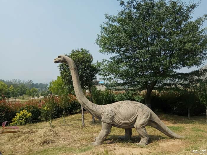 【山东长安车友会】自驾游逛恐龙乐园