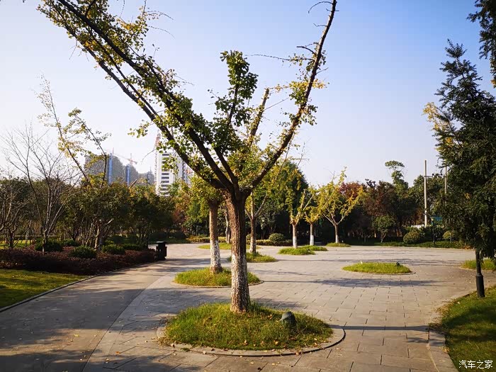 皇国山市民公园秋日秋景