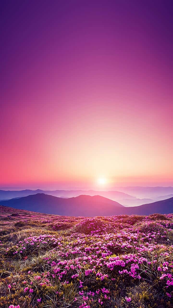 spirra思派朗论坛_汽车之家论坛