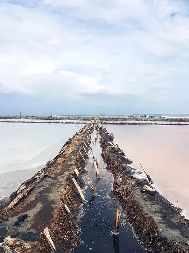 内蒙古额吉淖尔盐场的魅力