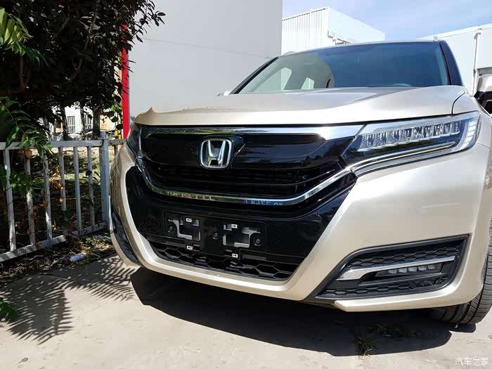 前脸是很精神的,黑色中网小有霸气,小眼睛犀利有神.