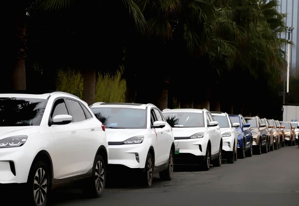 【图】成都威马车友会首季桃花故里自驾游_威马ex5论坛_汽车之家论坛