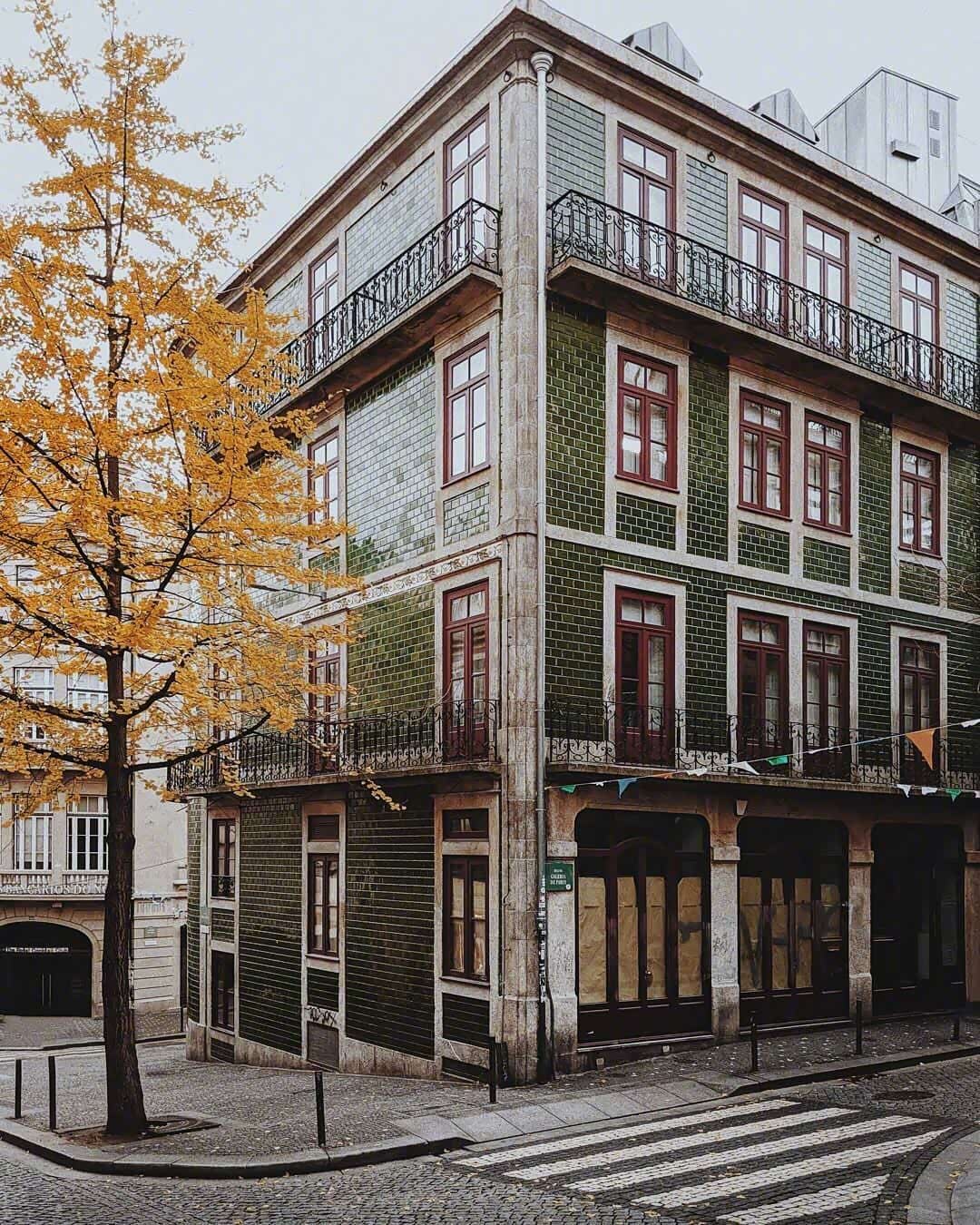 偶遇街角的小美好幸福来临