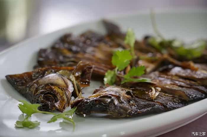 风味自驾游常熟沙家浜吃爊鸡