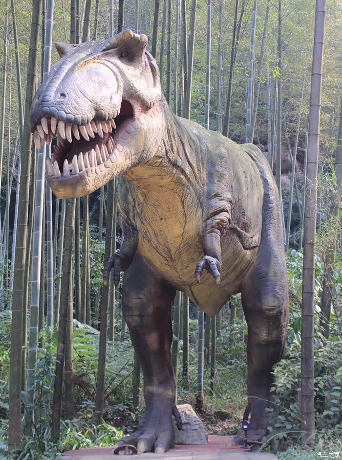 旅行贵州中国侏罗纪公园来到之后孩子就迫不及待的想要去和大恐龙合影