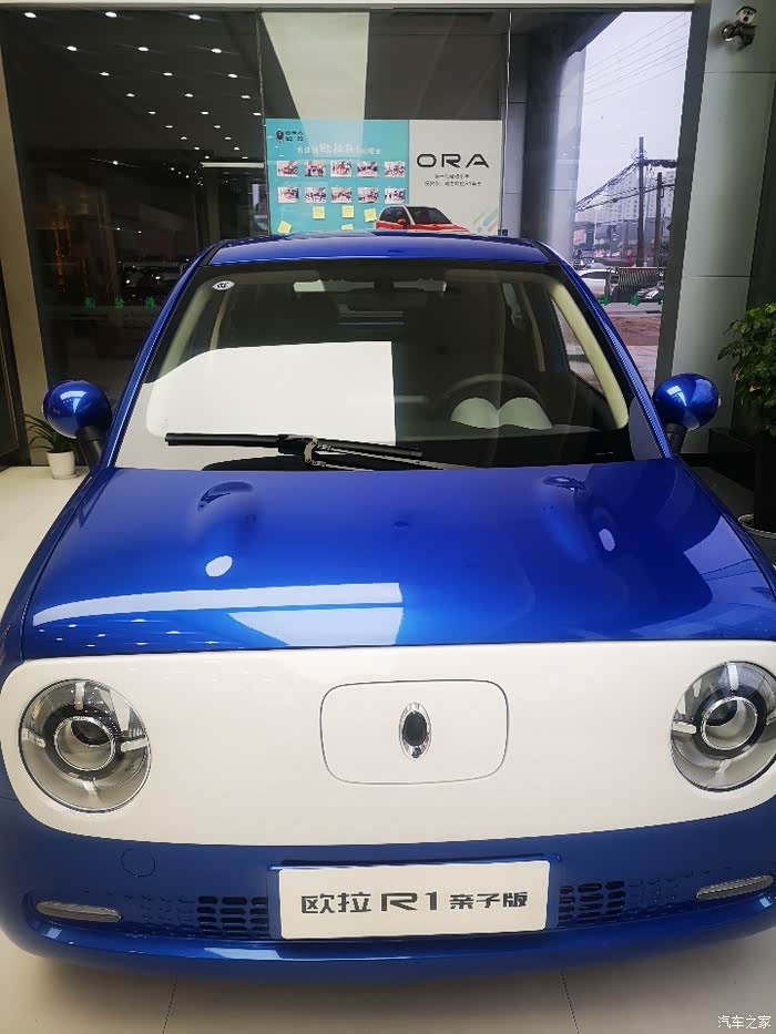 天菁蓝的欧拉r1挺独特的颜色