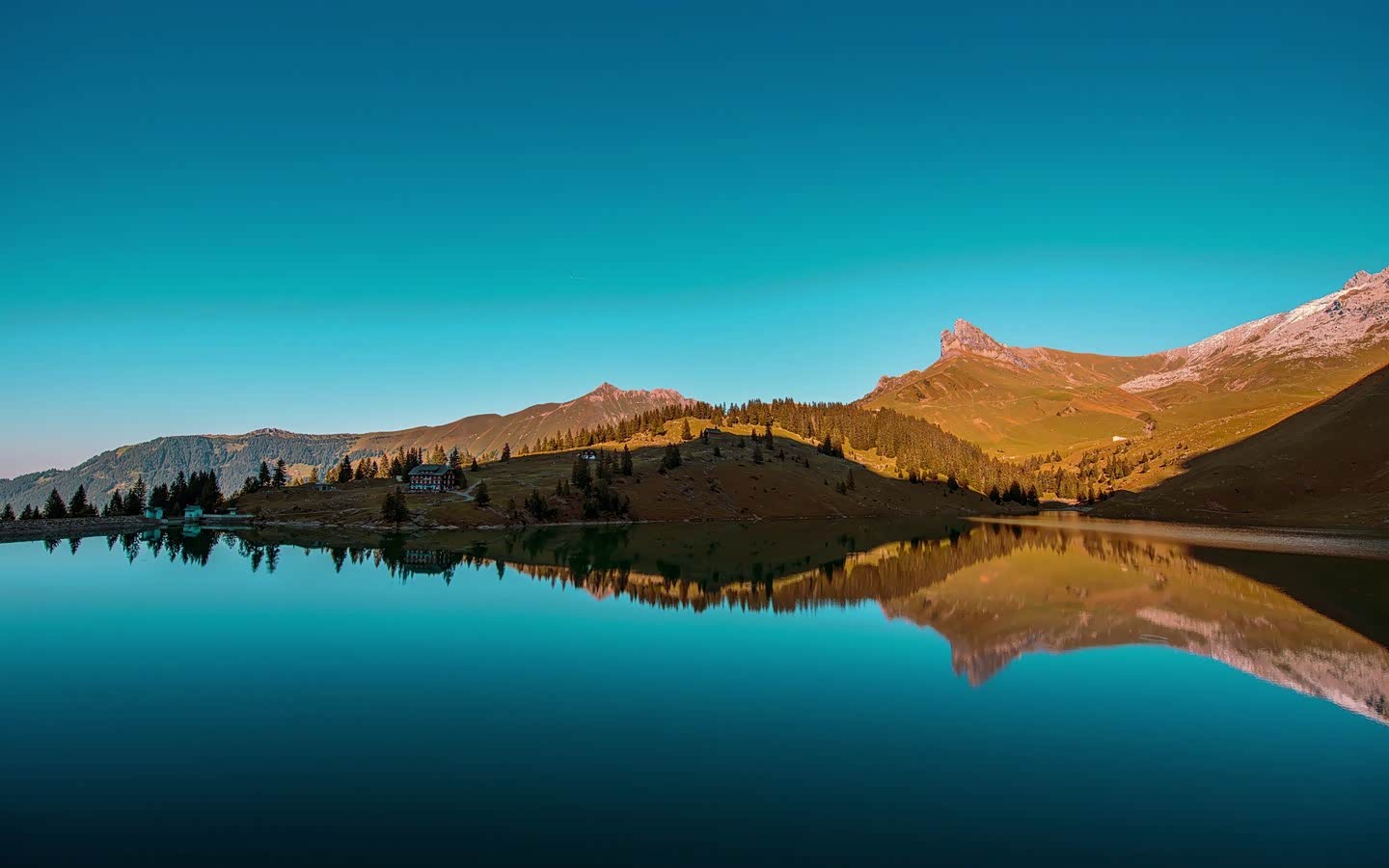 只要有一颗放松而美好的心态,生活便是美好!