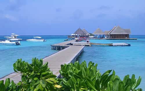 马尔代夫靓丽海滩风景谁都是绿色的