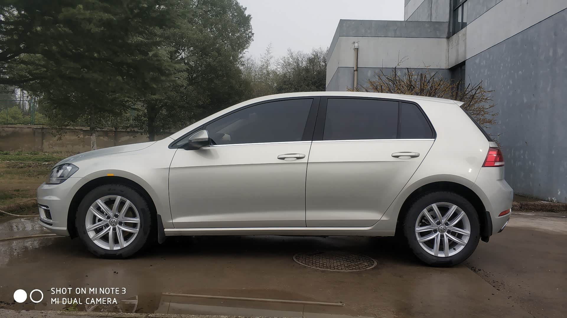 高尔夫7.5凯撒金到底是什么颜色?