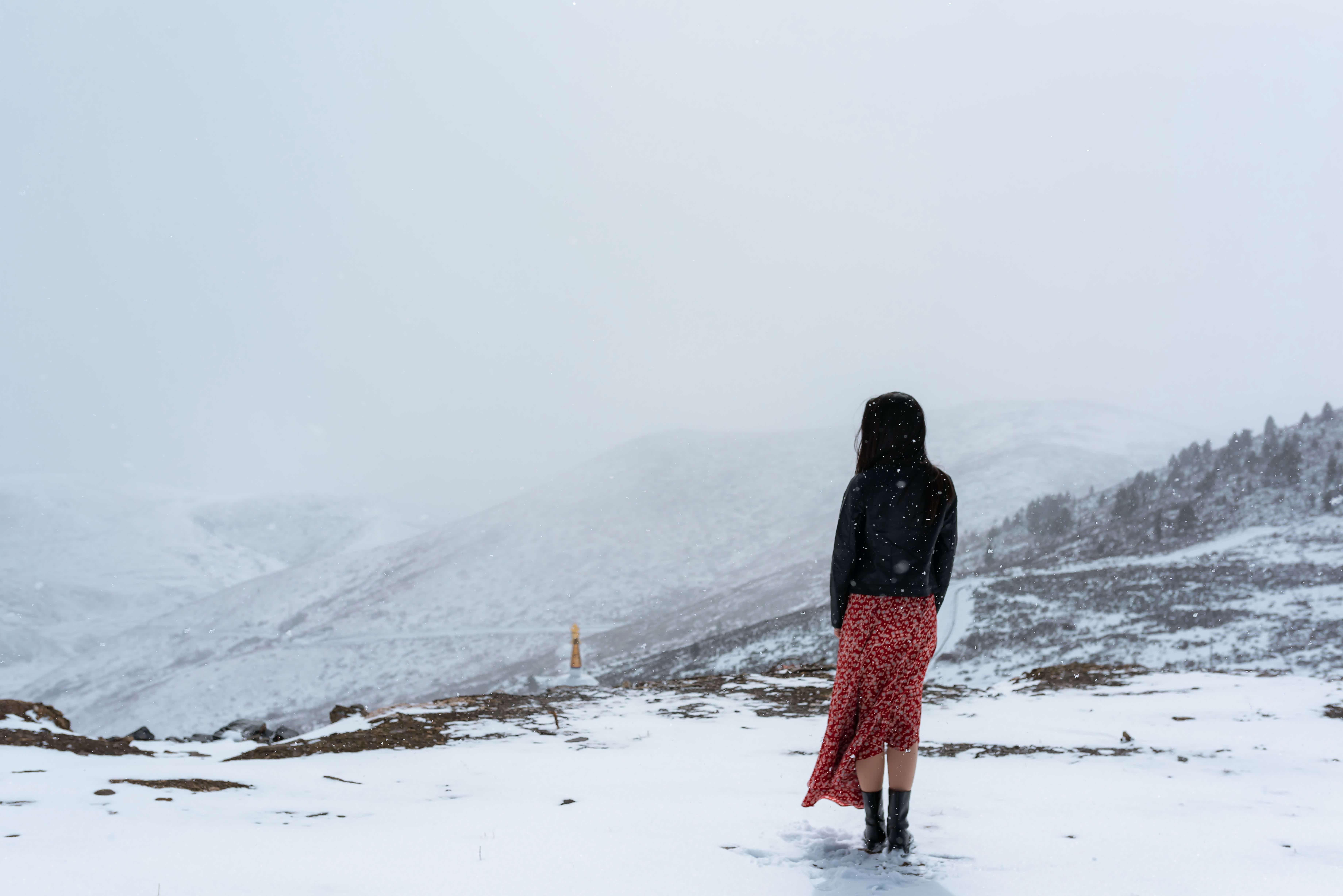 梦境解析，梦见山上雪特别厚坐车翻了