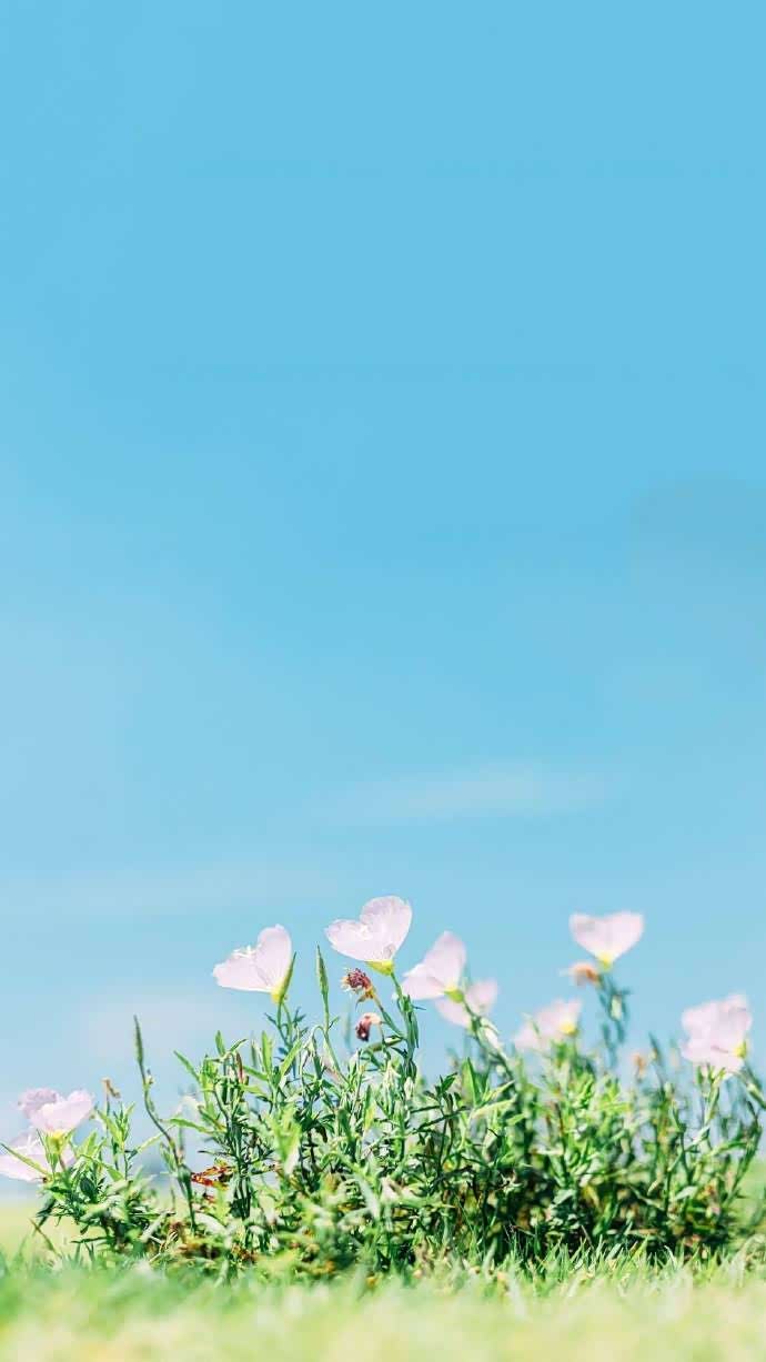 早晨起来,拥抱太阳,又是美好的一天