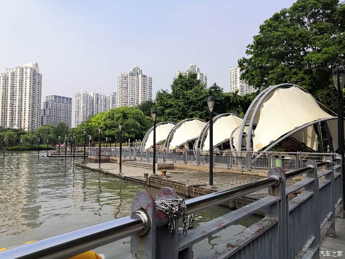 普陀区苏州河畔梦清园天安千树