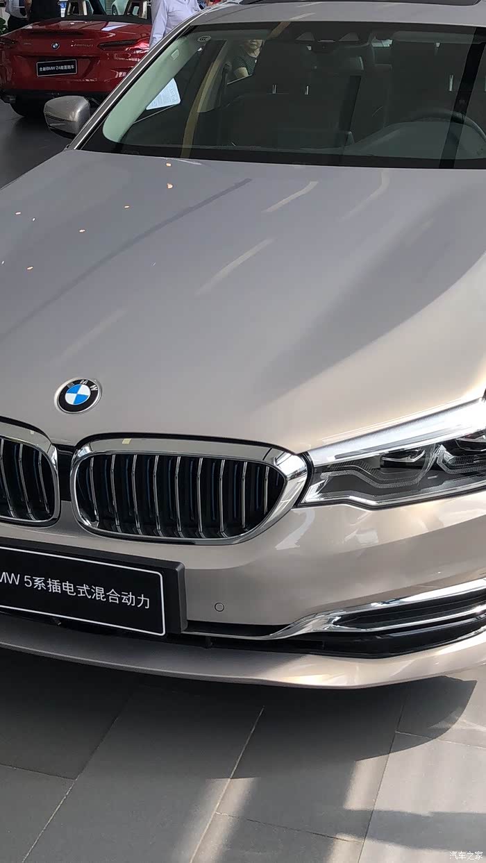 是这个颜色吧,销售跟我说是开斯米银,我都不知道还有个铂金银,你有