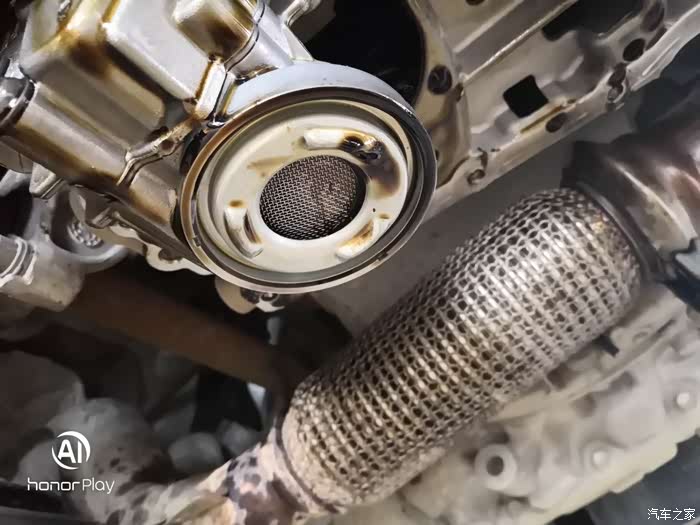 换皮带时拍的机油滤网