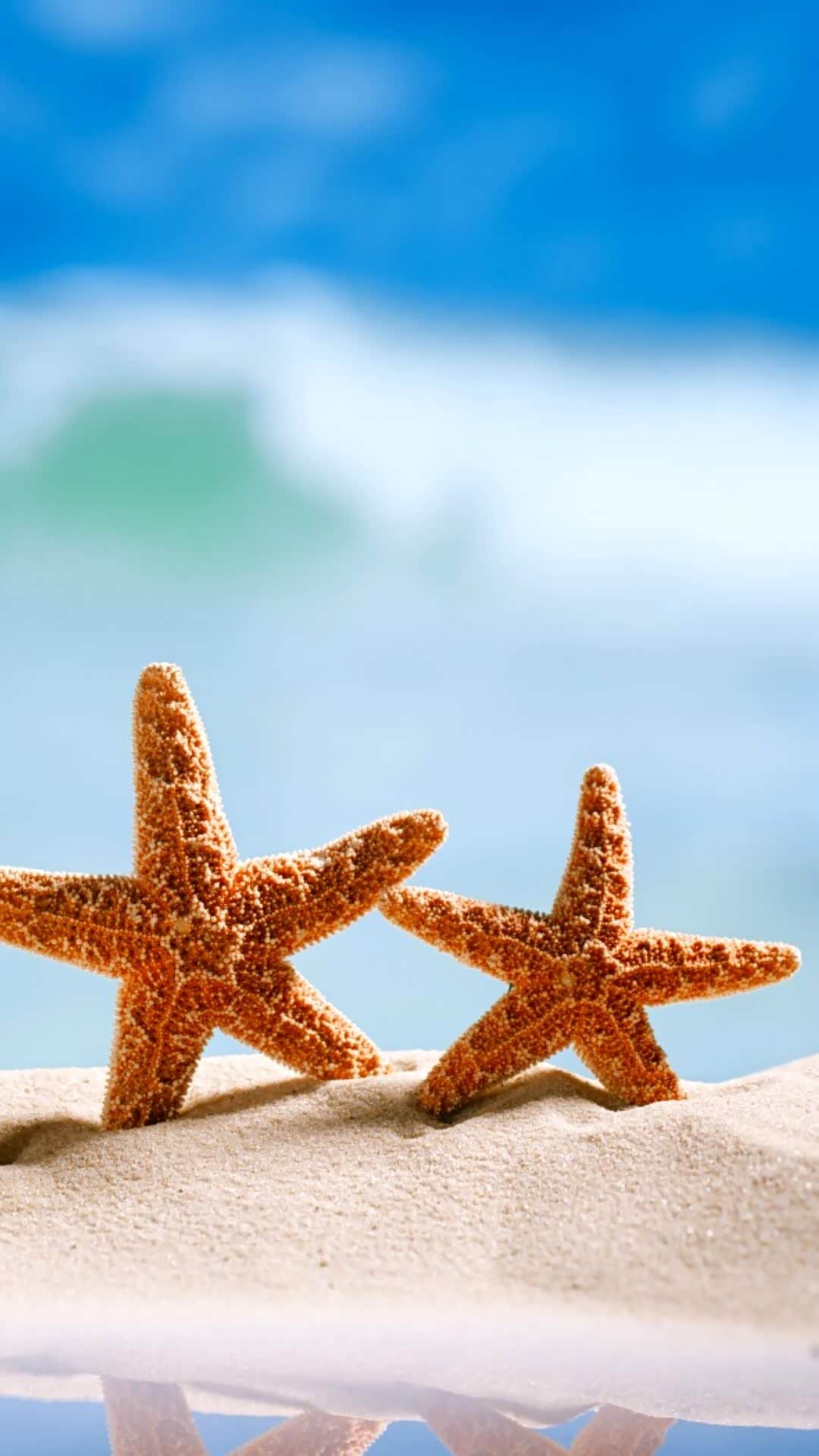 阳光明媚,出来看看大海,面朝大海,春暖花开