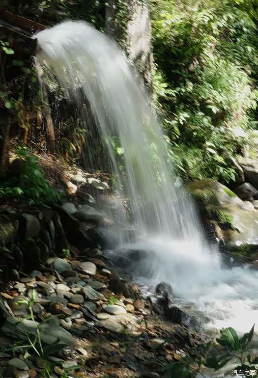 情人河沿岸最大的古核桃林