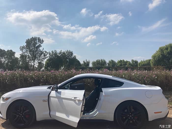 16年 4月上牌 中规白马 6万公里 无出险 无更换 素车 2.