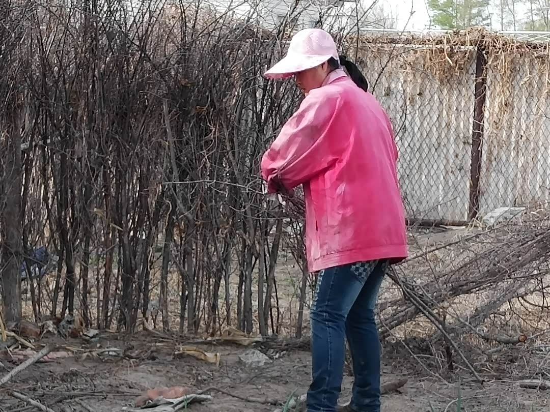 美女姐姐也参加义务劳动团队