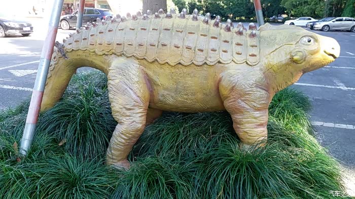 造型逼真的恐龙非常的吓人