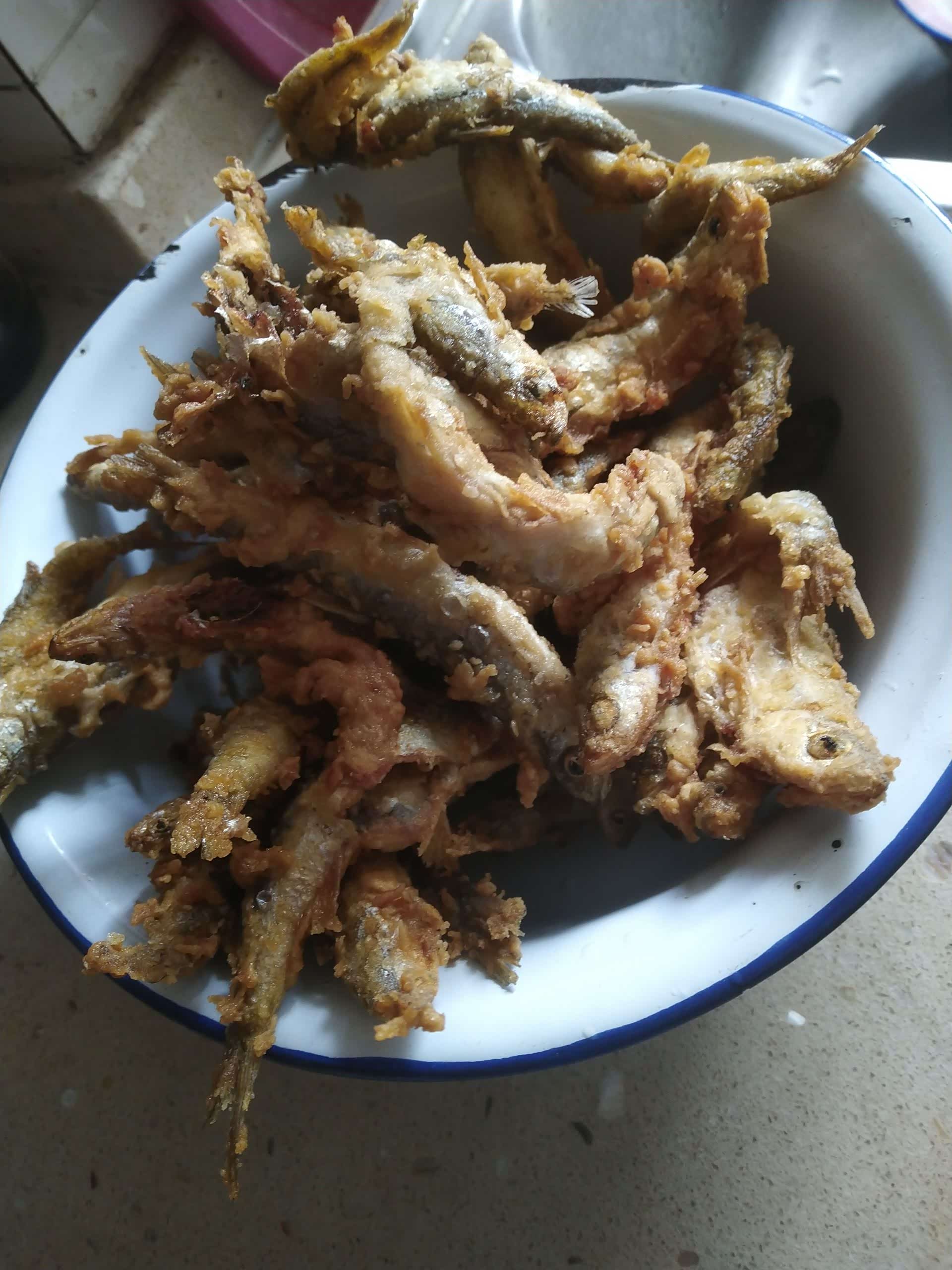 【图】油炸小杂鱼出锅了_上海论坛_汽车之家论坛