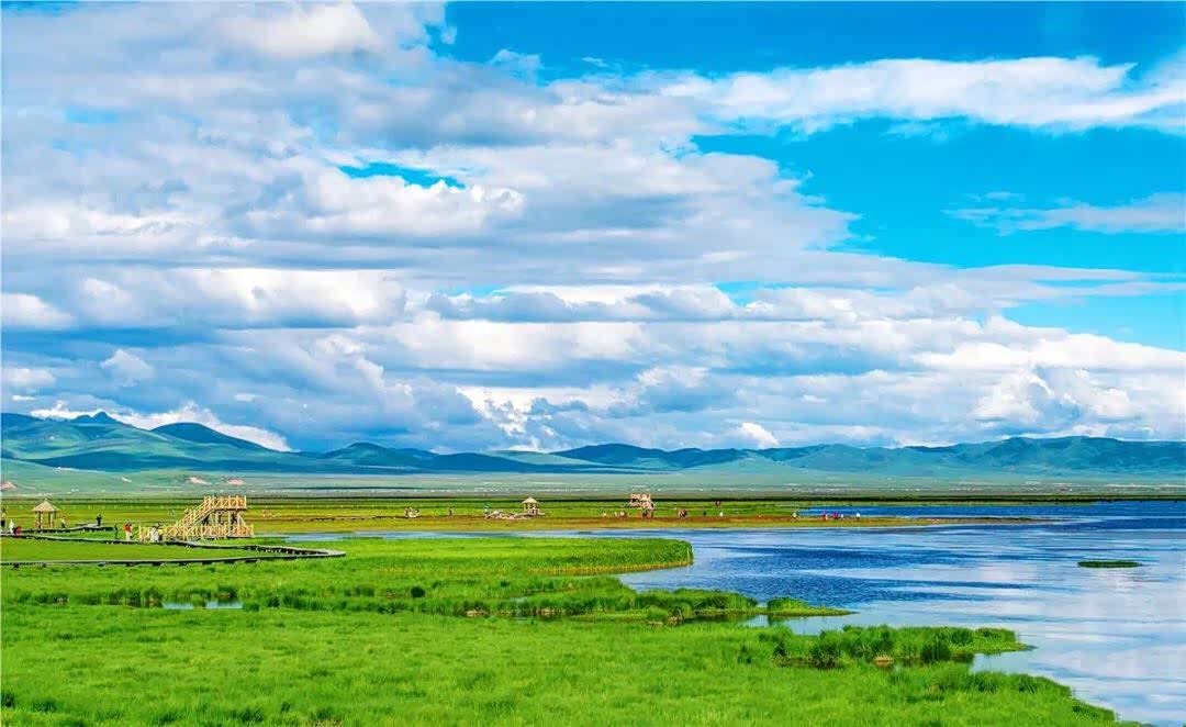 夏季是若尔盖大草原最美的季节