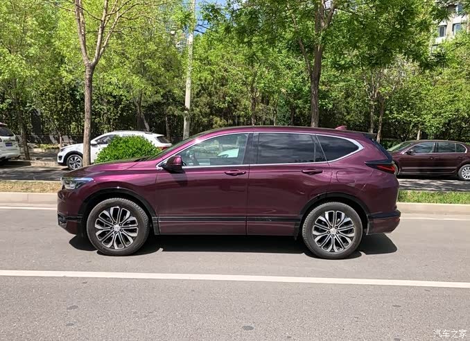 皓影罗曼紫,这条街最靓的仔