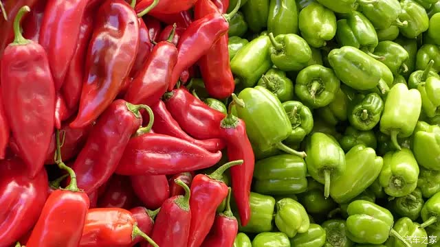 辣椒是一种常见的食材,人生百味,酸甜苦辣咸