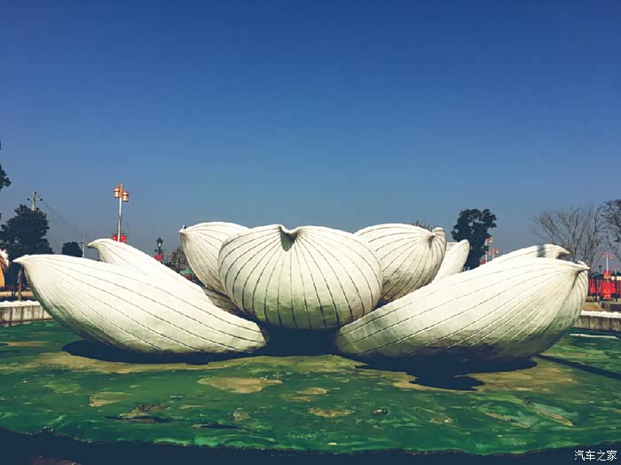 荣放自驾盛世莲花一日游