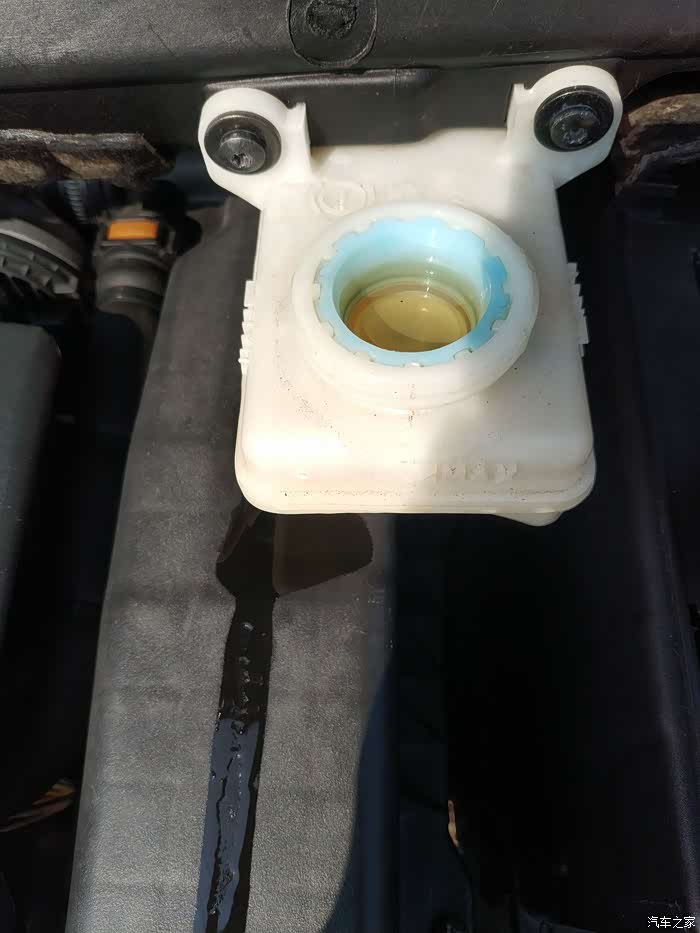 新人报到刹车油壶