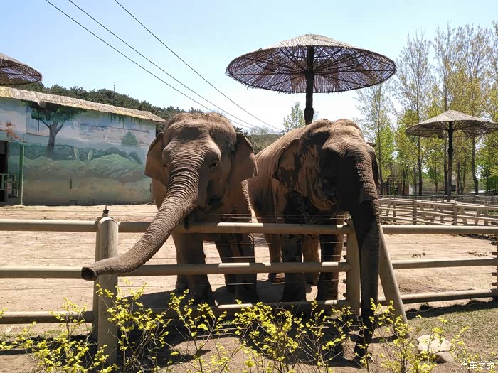 吉林市cs75车友会75自驾沈阳棋盘山动物园