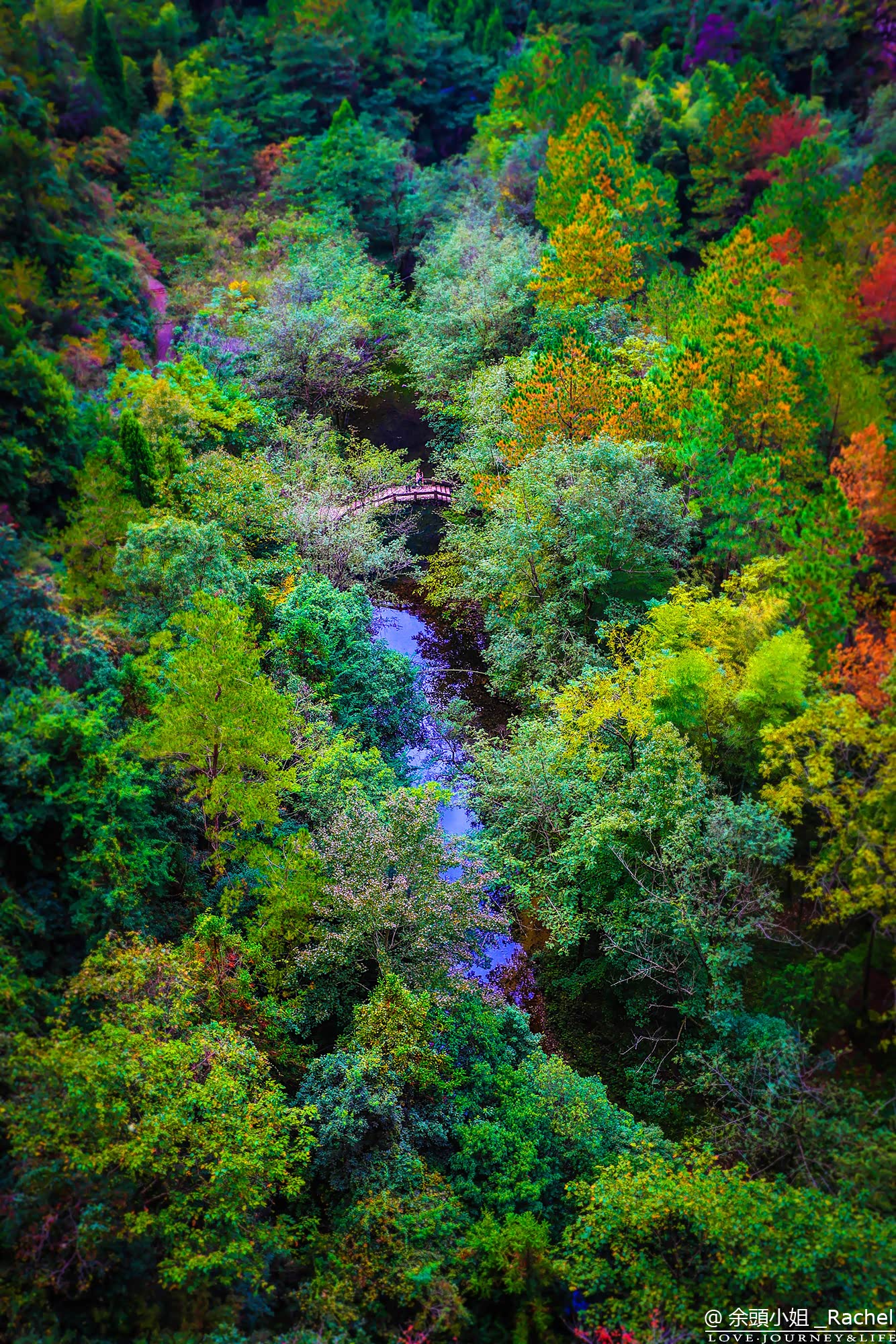 谁说温州只有皮鞋厂,它还有温润的山水和诗与远方!