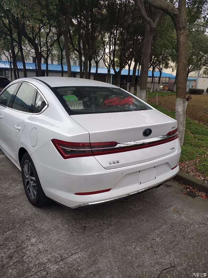 比亚迪秦prodm白色提车贴(申精)