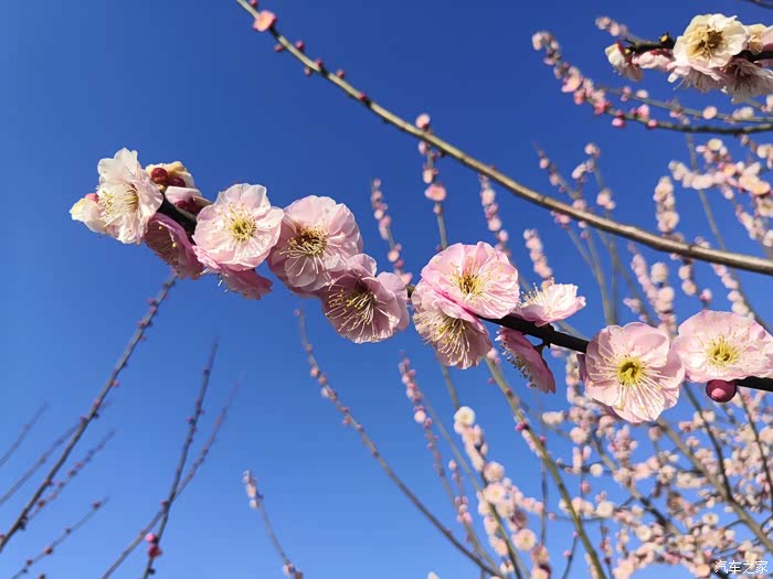 松江新浜隆庆寺 百汇园 日寇碉堡遗迹